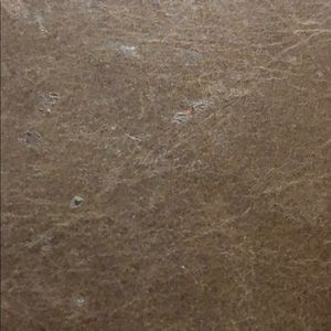 Meet your Posher, Griffin